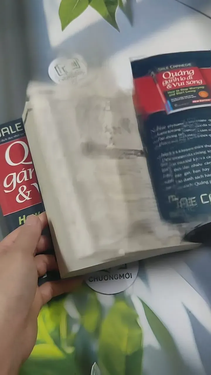 Combo: Quẳng Gánh Lo Đi & Vui Sống - Đắc Nhân Tâm - Dale Carnegie 715574