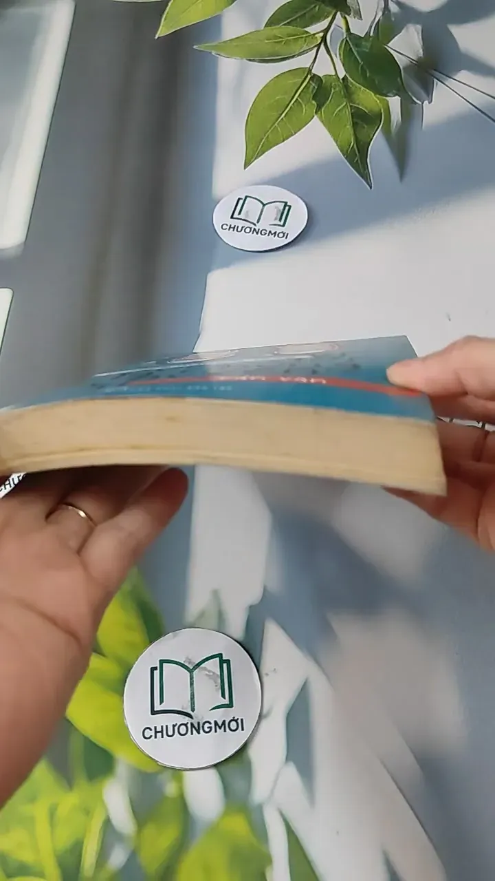 Vì Cuộc Đời Là Những Chuyến Đi - Hiên Bonnin Trần 727248