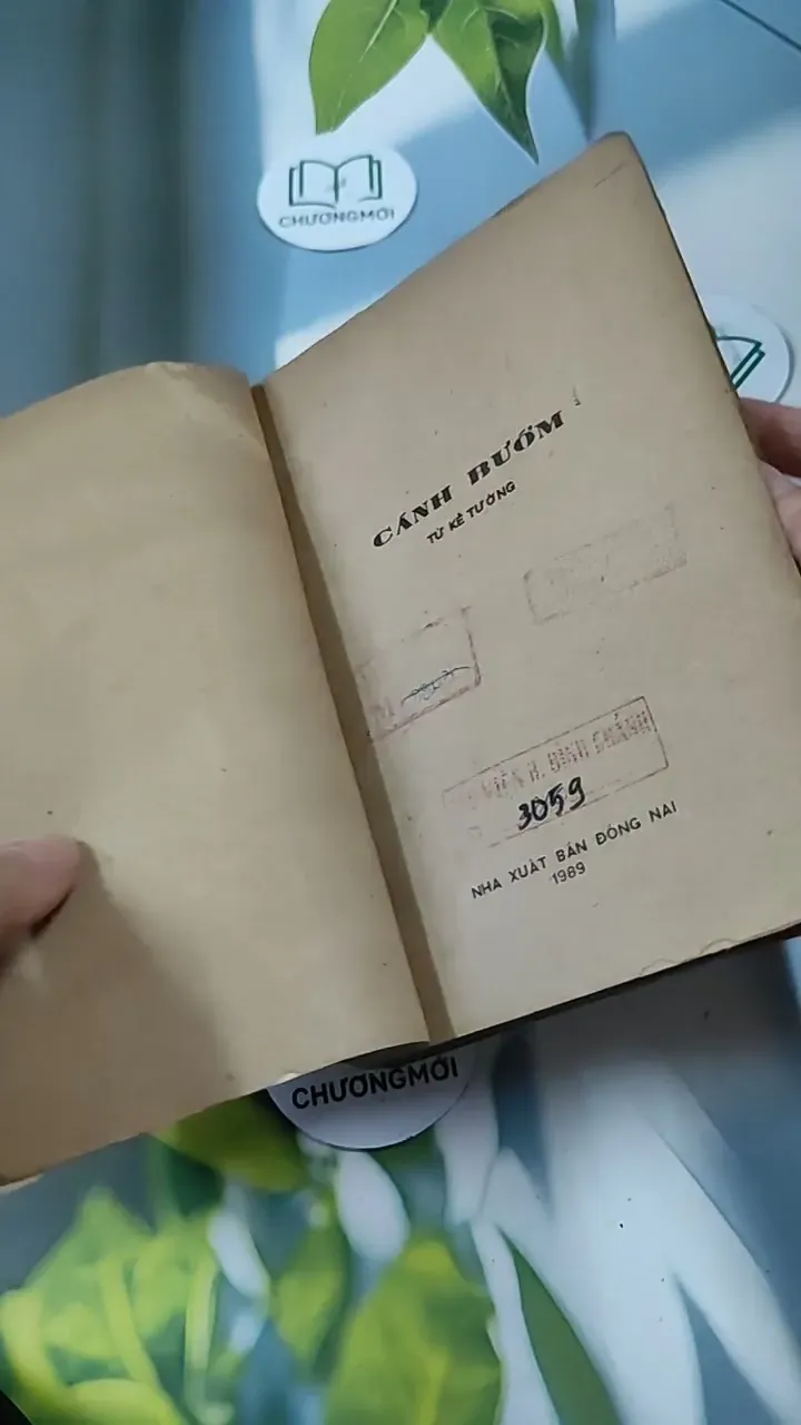 Cánh Bướm - Từ Kế Tường 713846