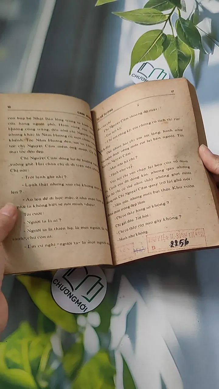 [XƯA] Cánh Bướm (1989) (Cánh Bướm) 776073