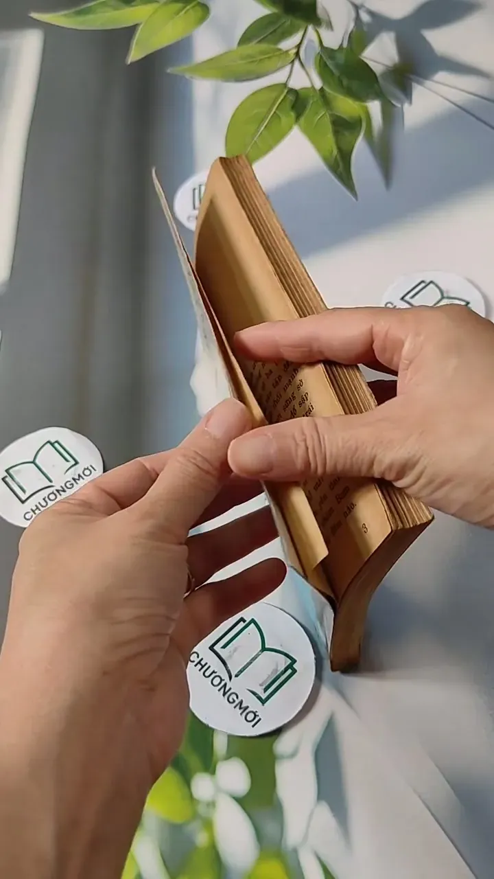 Những Người Đi Và Hai Người Ở Lại - Đinh Quang Nhã 713809