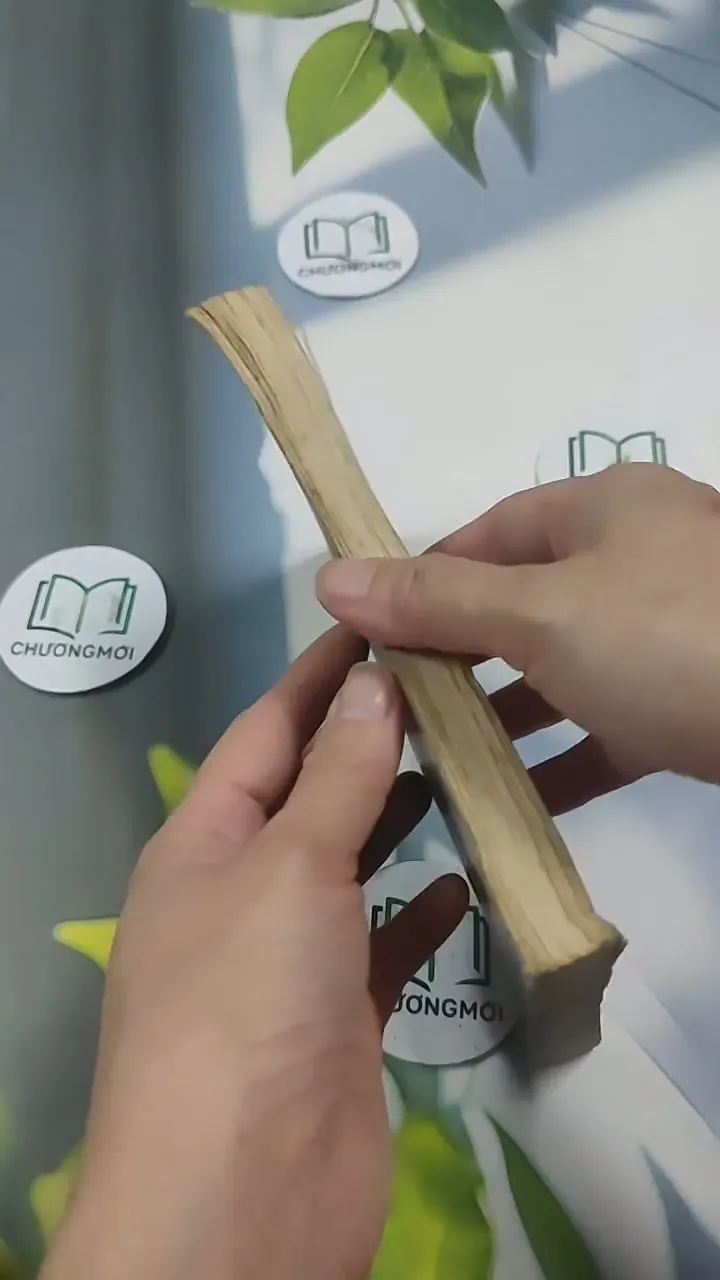 Hoa TuyLip Đen - Alexandre Dumas 715595