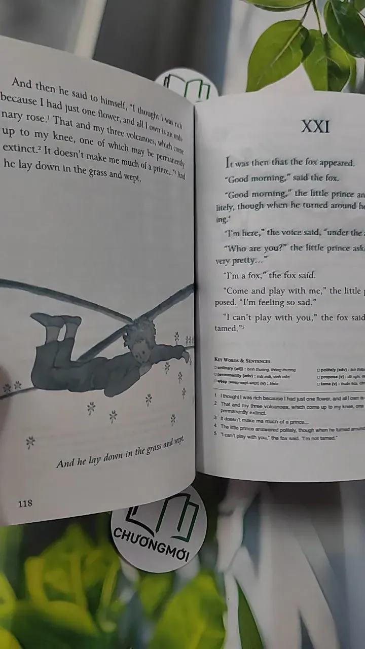 The Little Prince - 800 Words - Antoine de Saint-Exupéry 754533