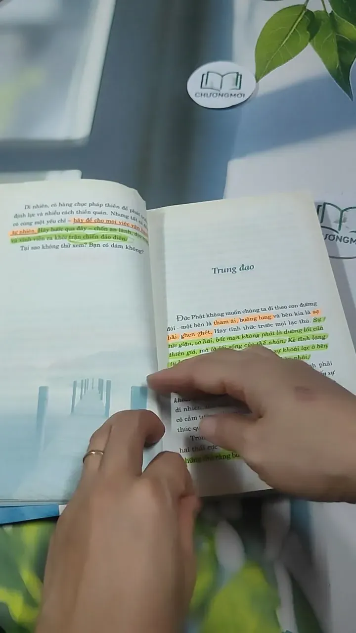 Tâm Tĩnh Lặng - Achaan Chah 727369