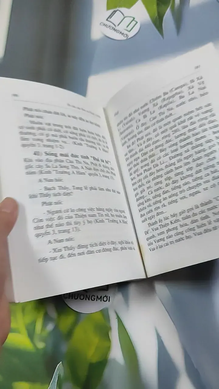 Di cảo của Nhà sư Thiện Chiếu - Thích Như Niệm 776212