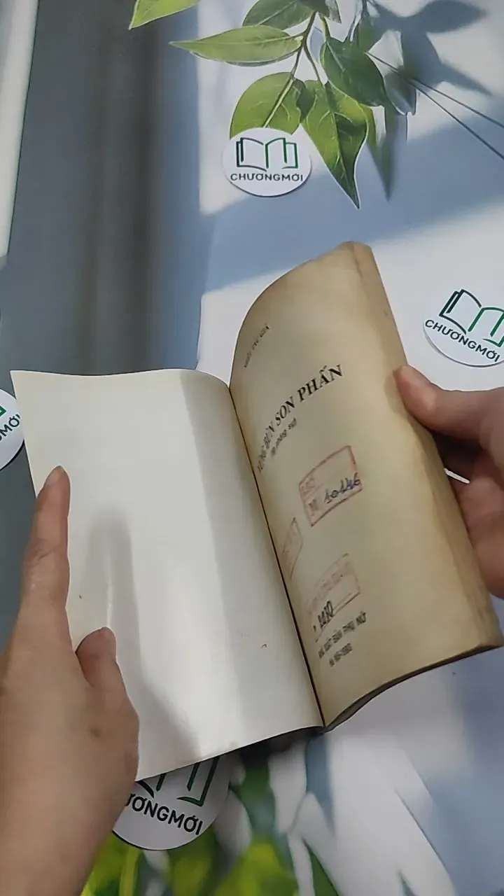 [XƯA] Vũng Bùn Son Phấn (1993) 776038