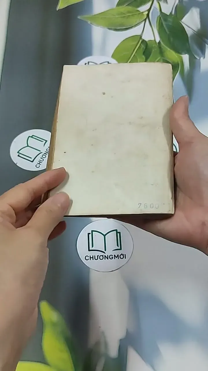 Chút Phận Linh Đinh (1996) - Hồ Biểu Chánh 674979