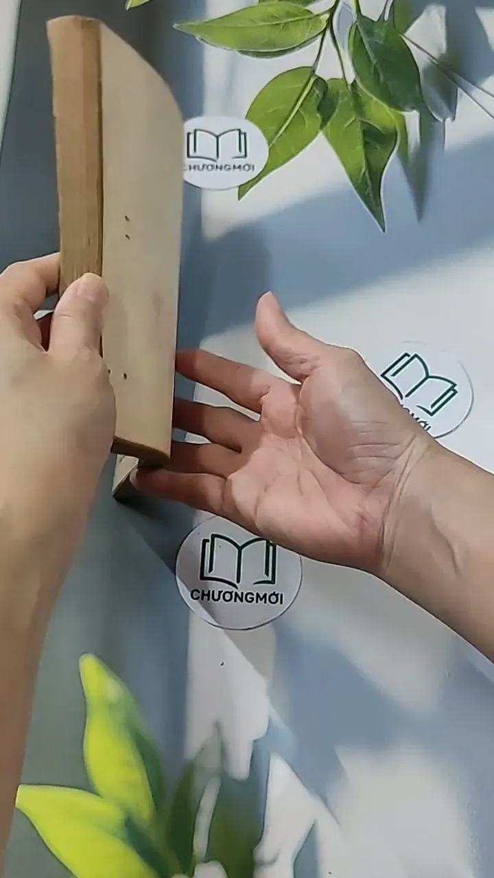 [MIỄN PHÍ BỌC SÁCH] Vùng Băng Tuyết (1988) - Y Kawabata 674973