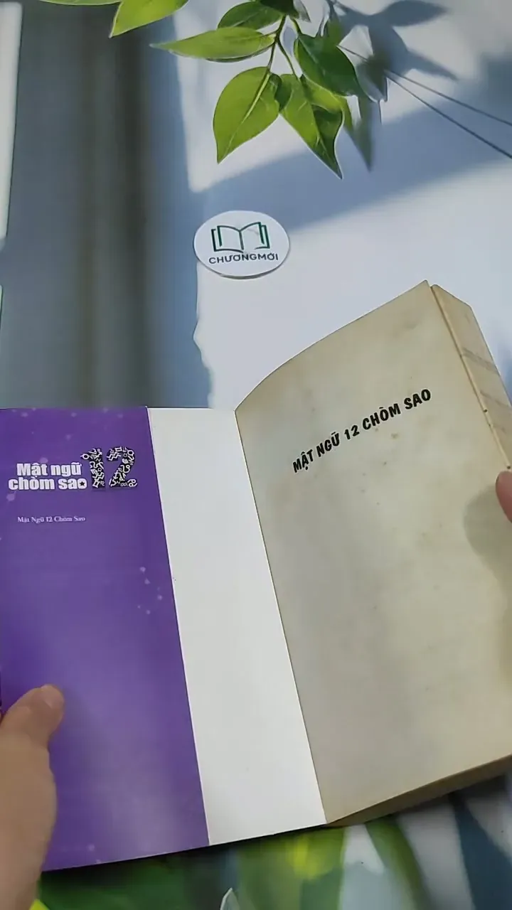 Mặt Ngữ 12 Chòm Sao - Mật Ngữ Tình Yêu 705675