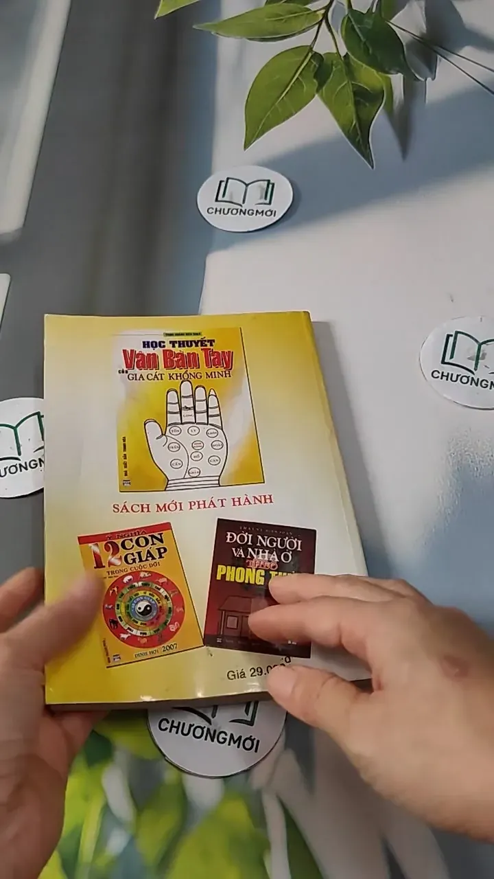 Học Thuyết Vân Bàn Tay Của Gia Cát Khổng Minh - Trình Hoành 727277