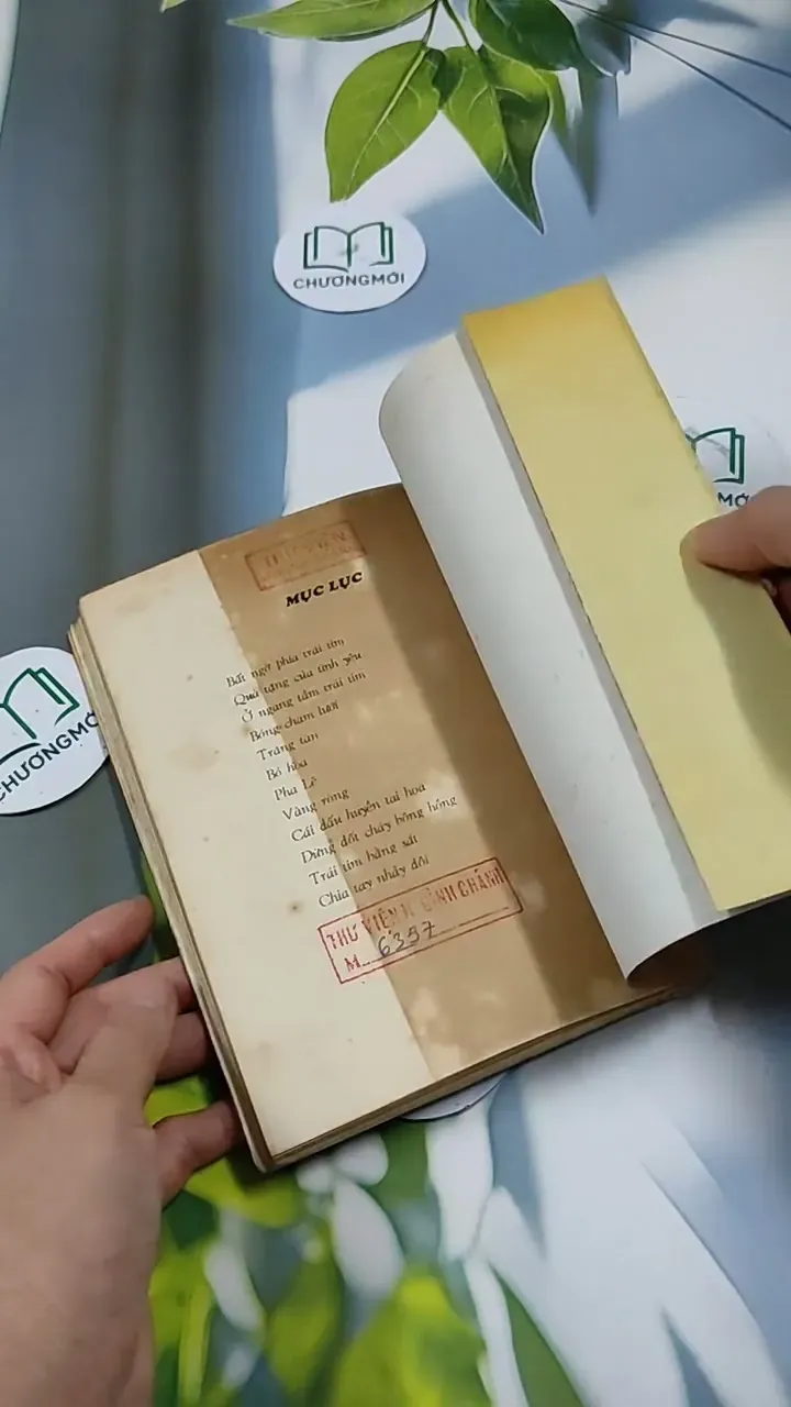 Bất Ngờ Phía Trái Tim - Đoàn Thạch Biền 713853