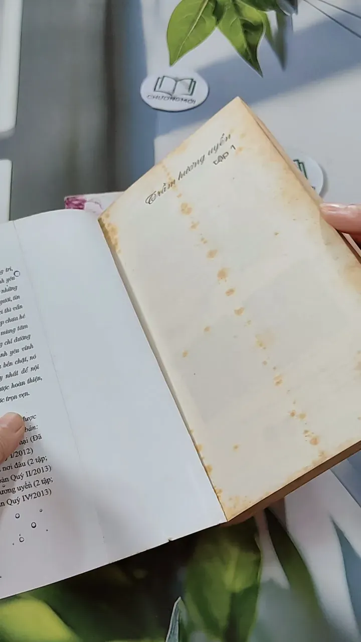 Bộ Trầm Hương Uyển - Bộ Vi Lan 744691