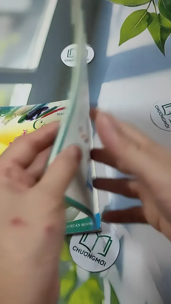 Combo Ẩm Thực: Các Món Chay Ăn Kiêng, Trẻ Khỏe Với Các Món Ăn & Bài Tập 727328