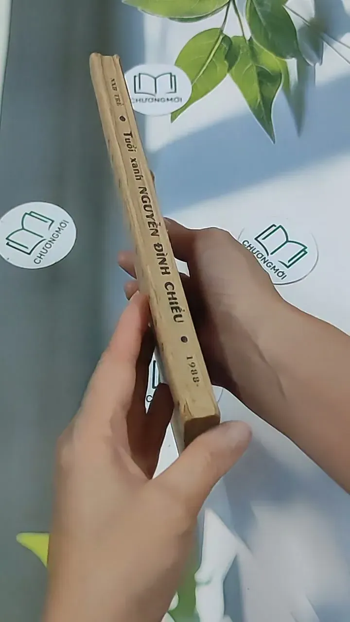 Tuổi Xanh Nguyễn Đình Chiểu (1987) - Thái Vũ 674974