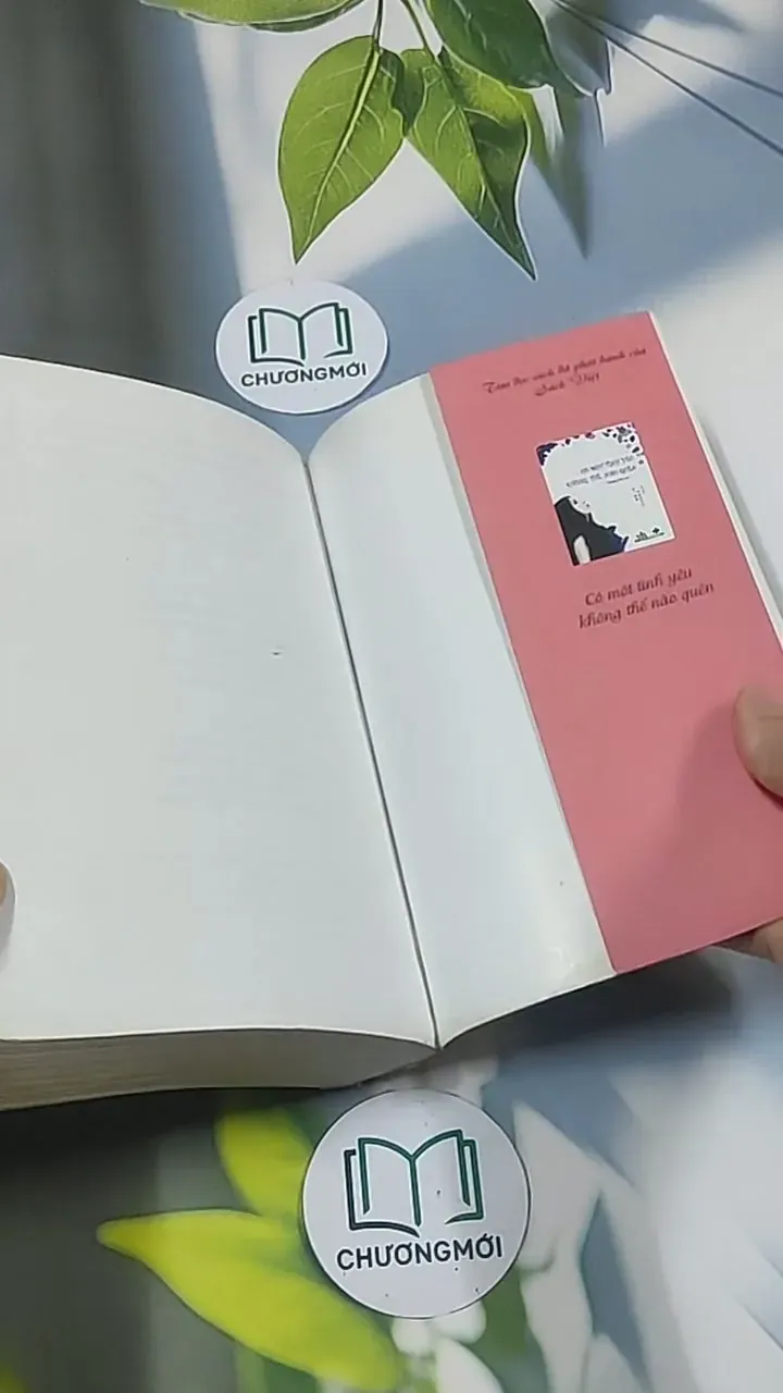 Thục nữ PK Xã hội đen - Thuần Giang Khuynh Thành 694995