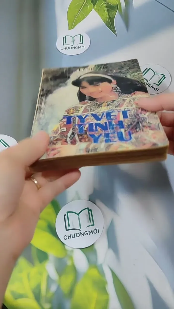 Tỳ Vết Tình Yêu - Thanh Lan 713847