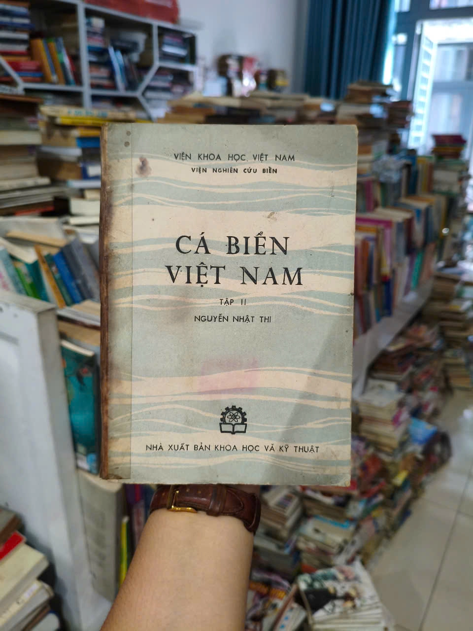 Cá Biển Việt Nam II by  - Sách Book Cover - Ngọc Hiển Books