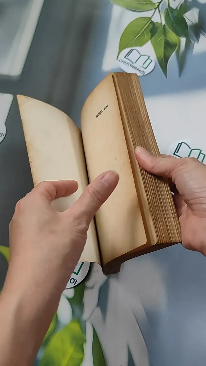 [XƯA] Ngọc Lai (1992) - Hoàng Thế Mai 776085