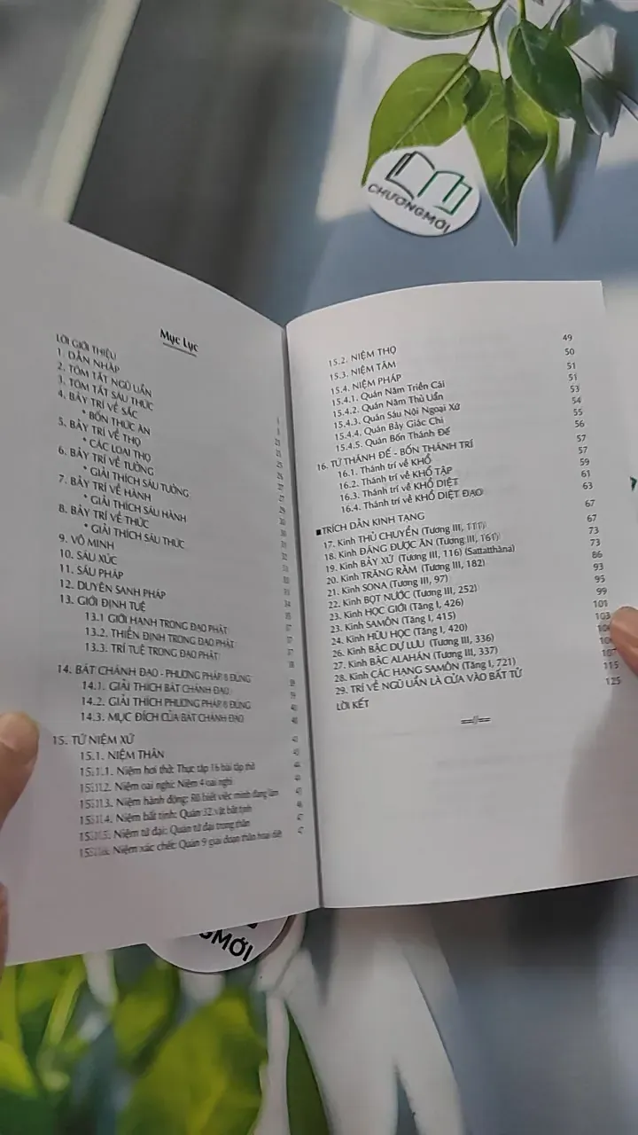 Tóm Tắt Năm Uẩn - Chơn Tín Toàn 776109