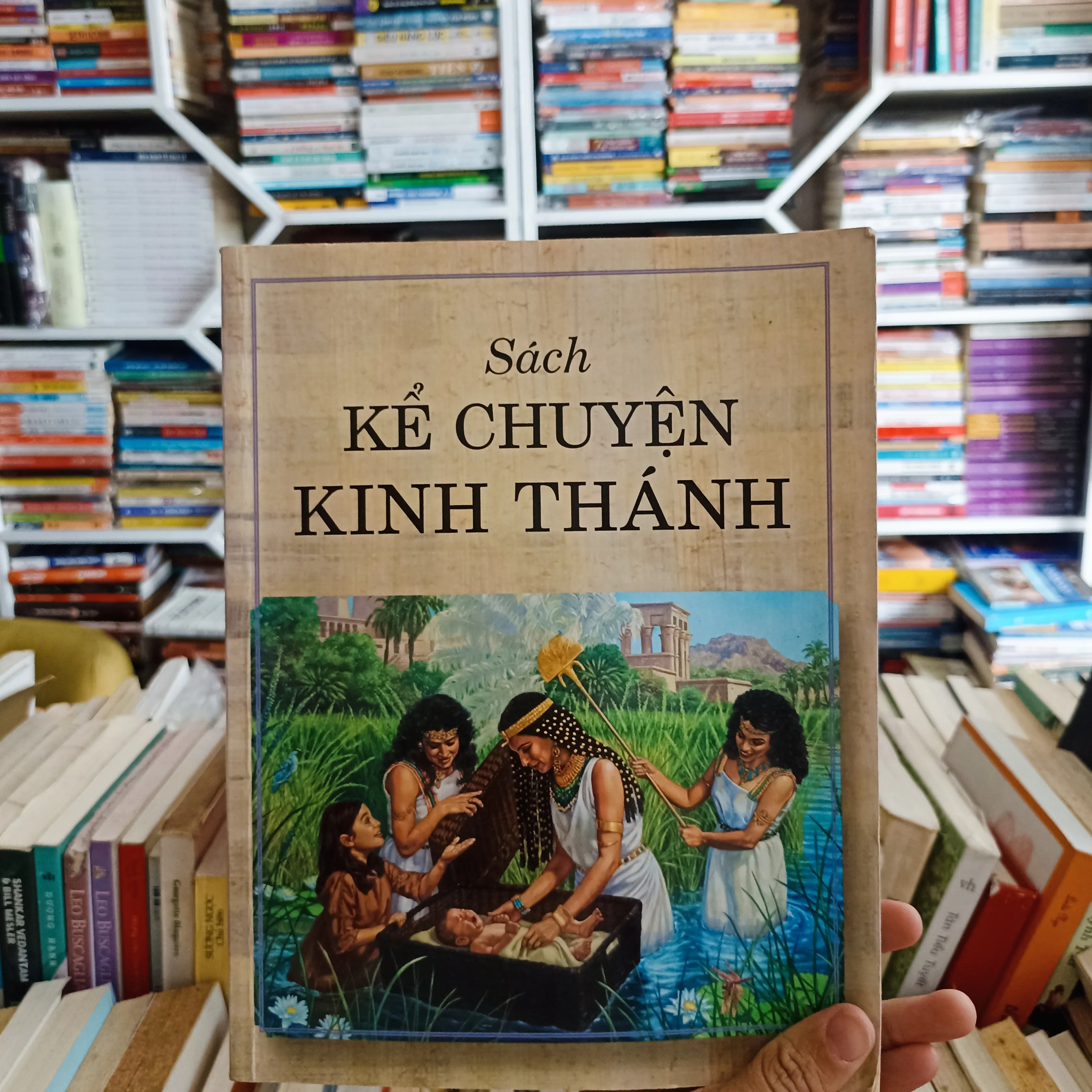 Sách kể chuyện Kinh Thánh 🌻 by  - Sách Book Cover - Ngọc Hiển Books