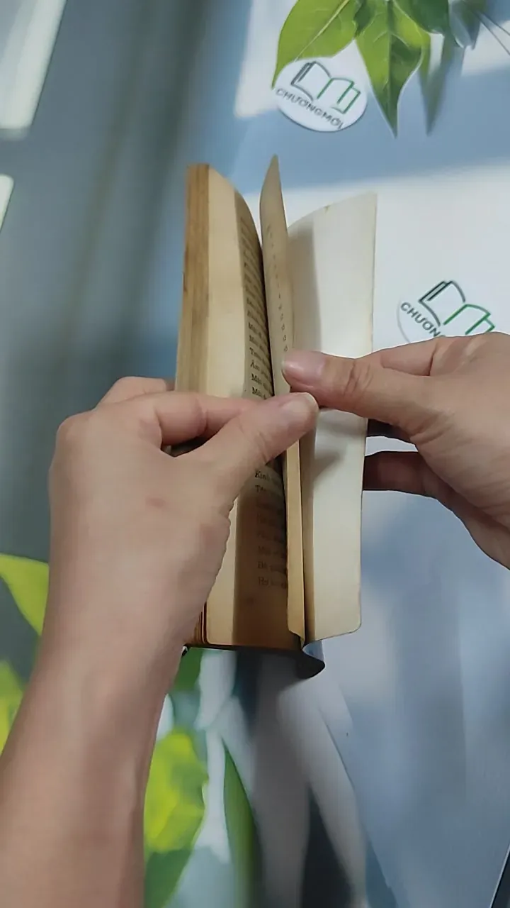 Những Bí Ẩn Trong Cuộc Đời Qua Khuôn Mặt & Bàn Tay - Khánh Vân - Mai Hoàng 776160