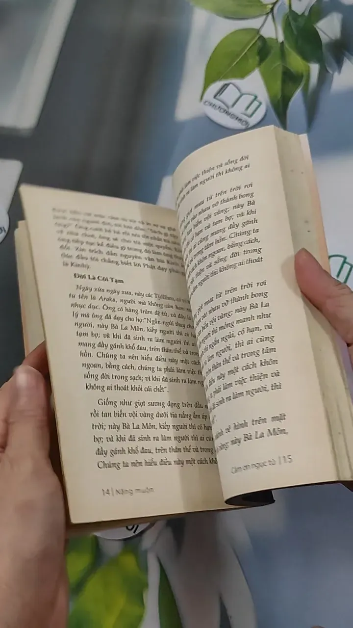 Nắng Muộn - Đậu Bảo 776107