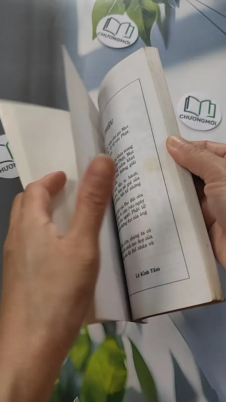 Mục Kiền Liên - Bằng Tranh - Lê Kỉnh Tâm - Trương Quân 775964