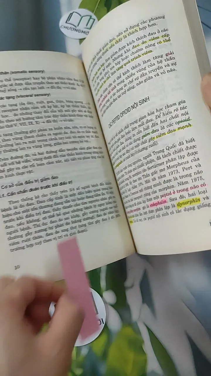 Các Thuốc Giảm Đau - Chống Viêm - PGS. TS. Đào Văn Phan 780807