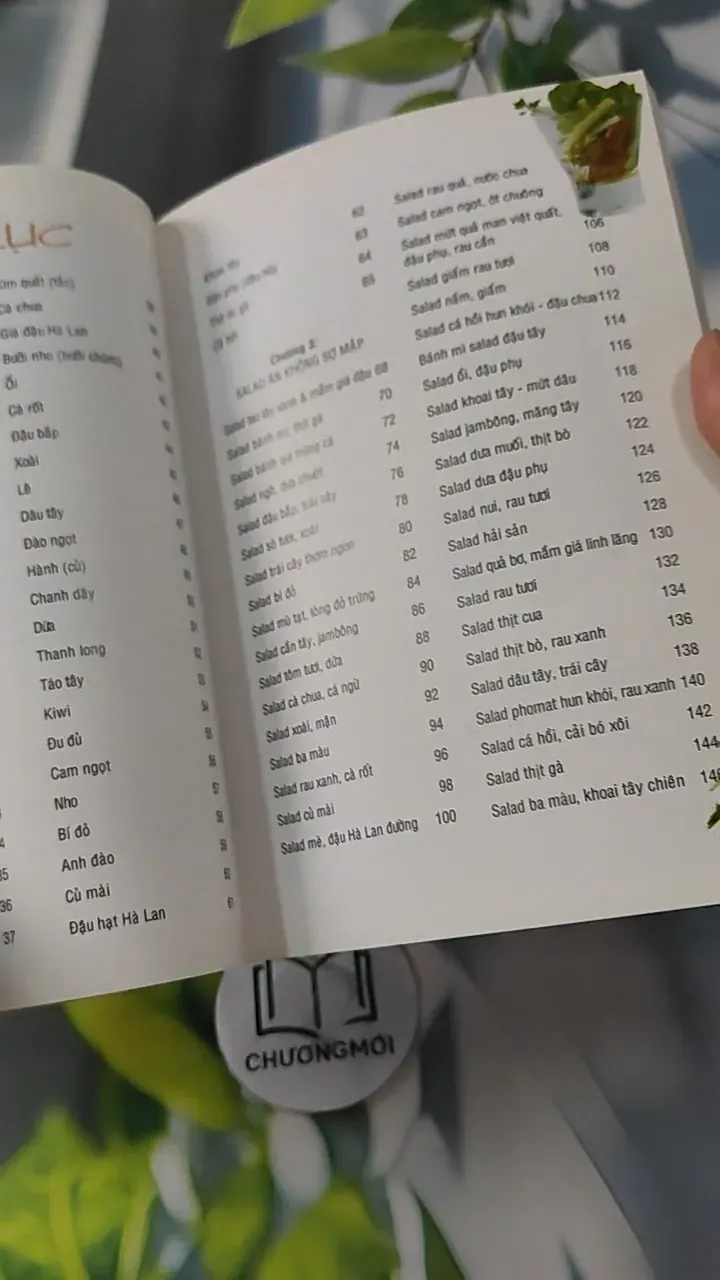 Salad Thon Người - Salad & Những Thực Phẩm Ăn Không Sợ Mập - Vũ Mai Ly & Nguyễn Xuân Quy 727252