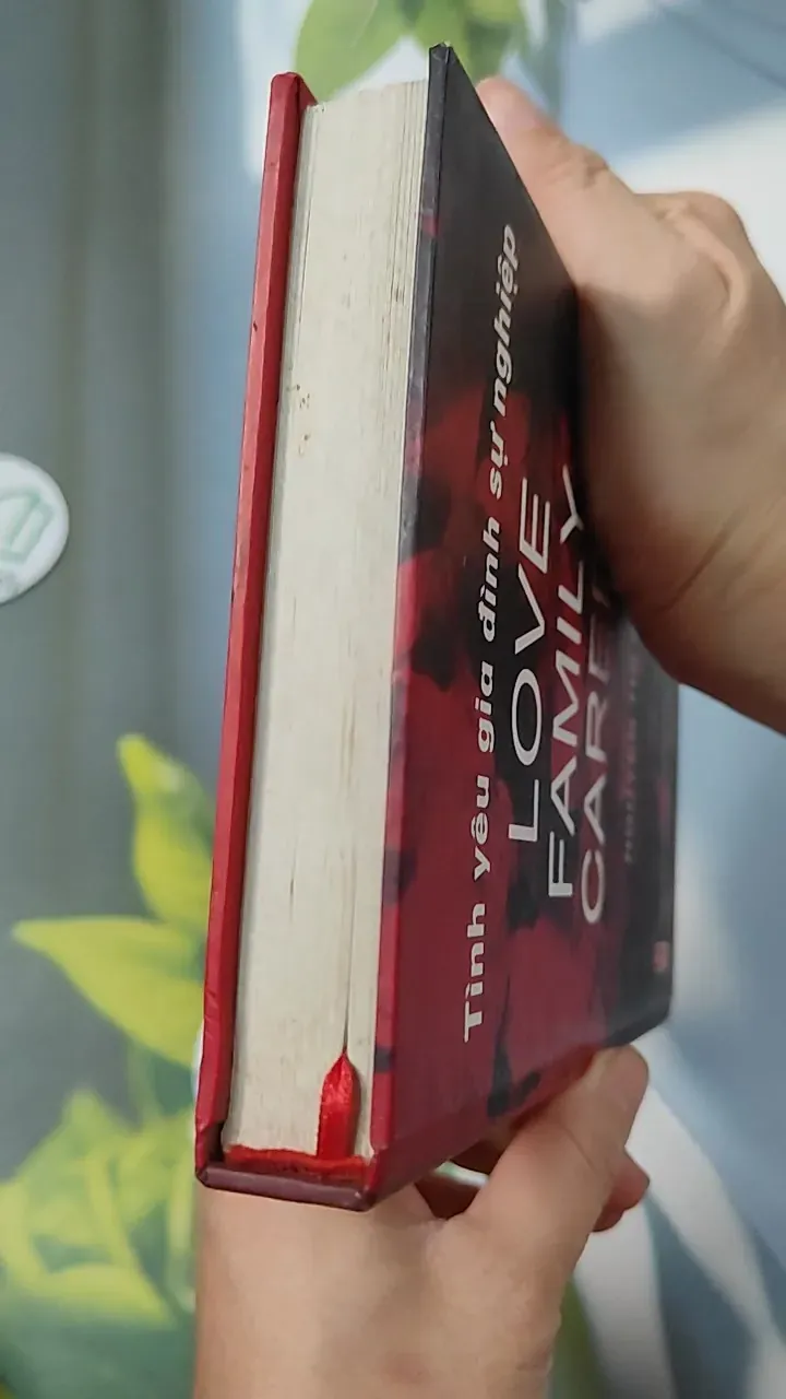 Love Family Career - Tình Yêu Gia Đình Sự Nghiệp - Nguyễn Thị Sơn 749585