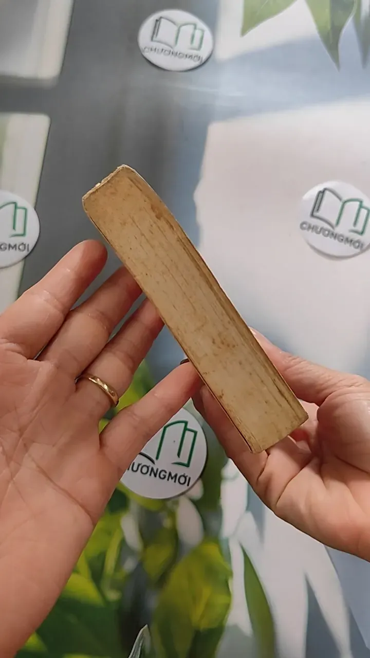 [XƯA] Le Champ de personne (1995) - Daniel Picouly 754477