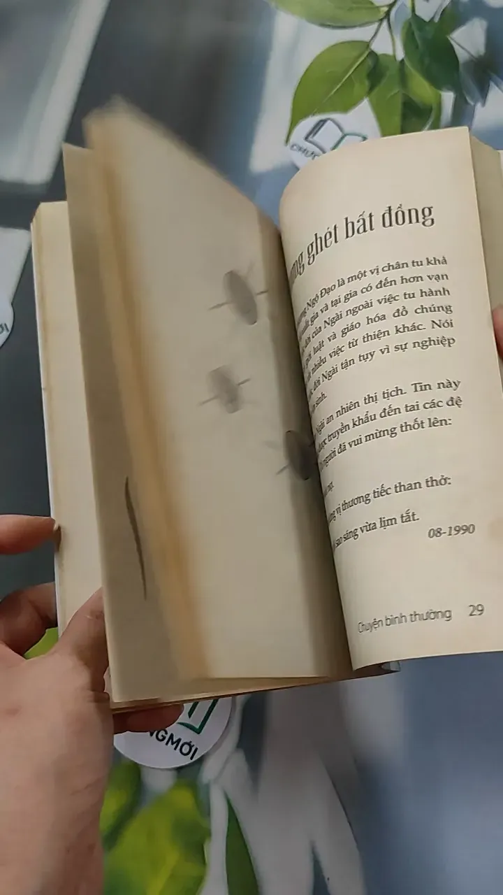 Chuyện Bình Thường - Thích Chân Tính 776106