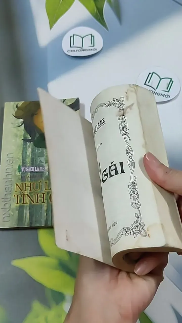 Combo Truyện: Như Là Tình Cờ, Bầy Con Gái (Tủ Sách Lá Me) 703132