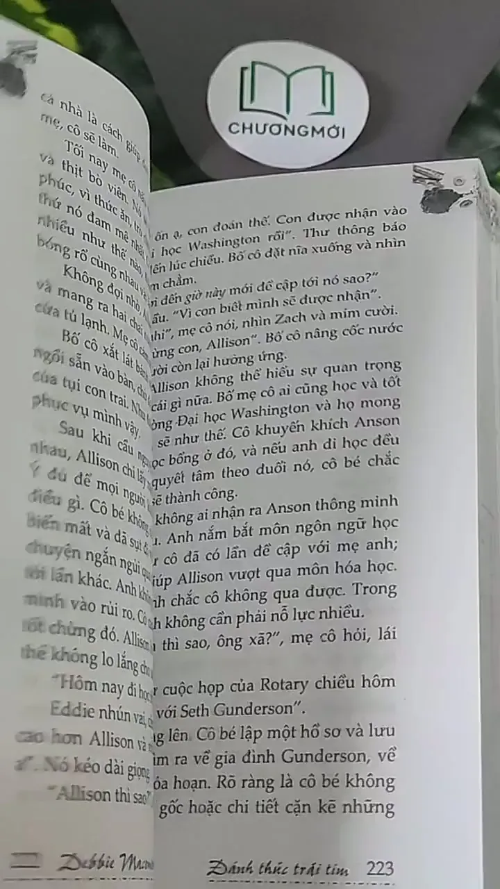 Đánh Thức Trái Tim (2009) - Debbie Macomber 604470
