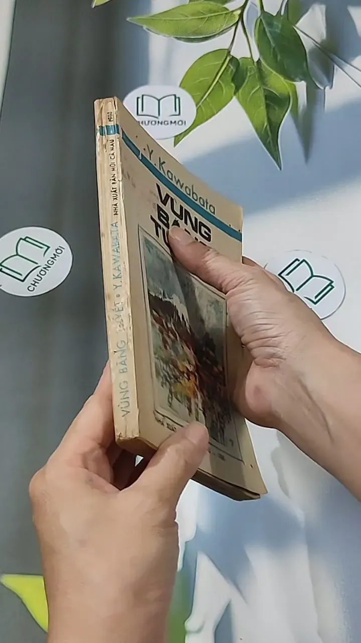 [MIỄN PHÍ BỌC SÁCH] Vùng Băng Tuyết (1988) - Y Kawabata 674973