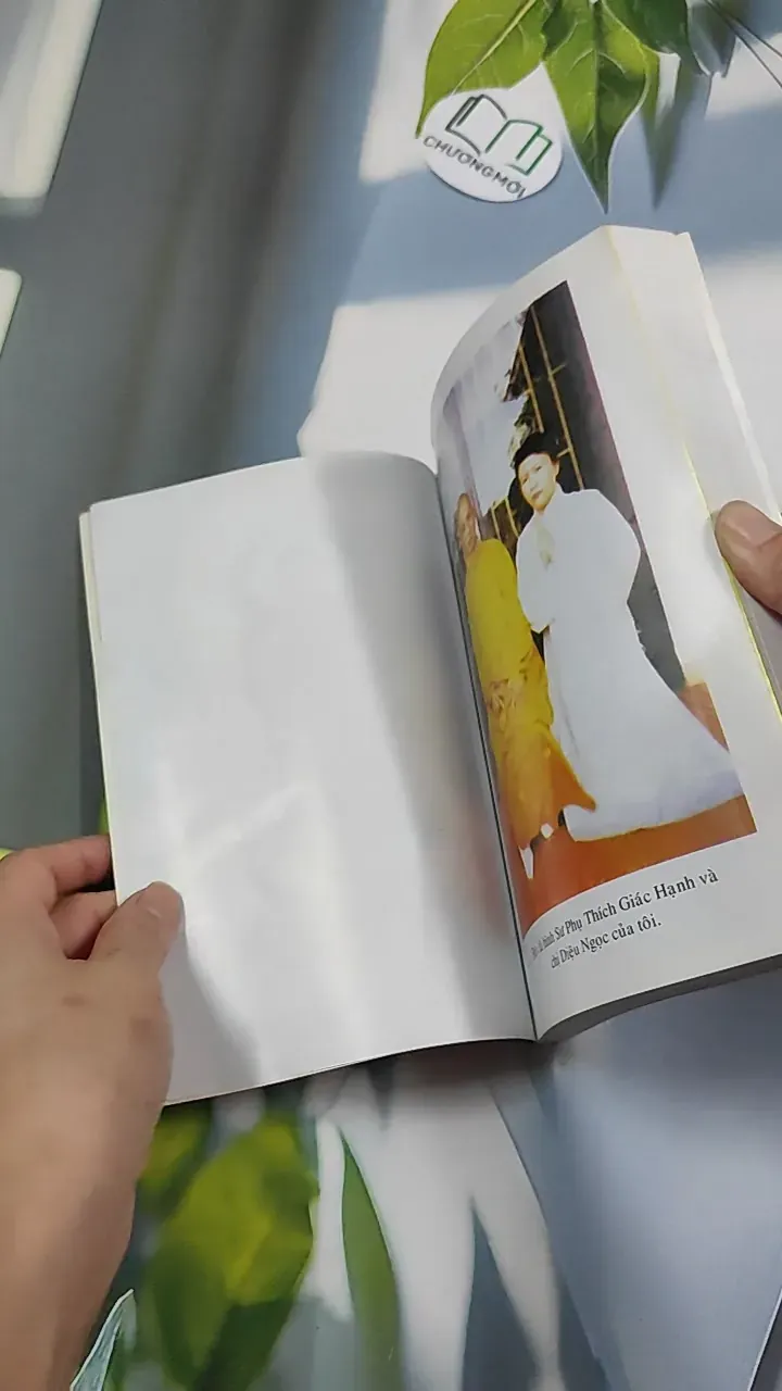 Kinh Nghiệm Niệm Phật Và Những Chuyện Luân Hồi - Cư Sĩ Diệu Âm - Diệu Ngộ 776139
