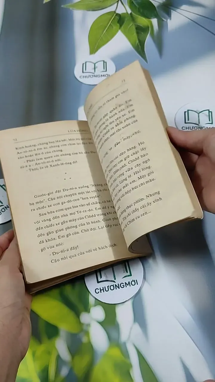 Lửa Hồng - Rolande Cause 713851