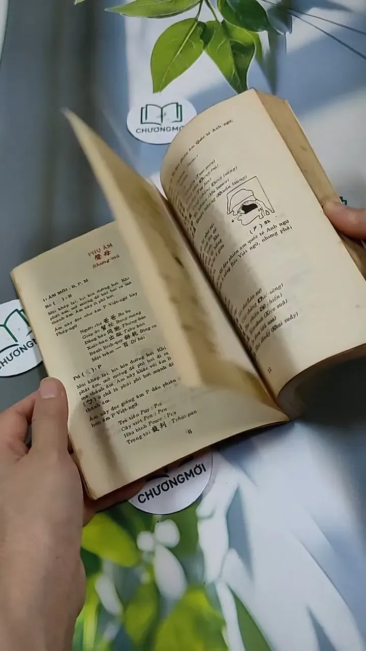 Tự Học Tiếng Phổ Thông Trung Hoa - Dương Hồng 713891