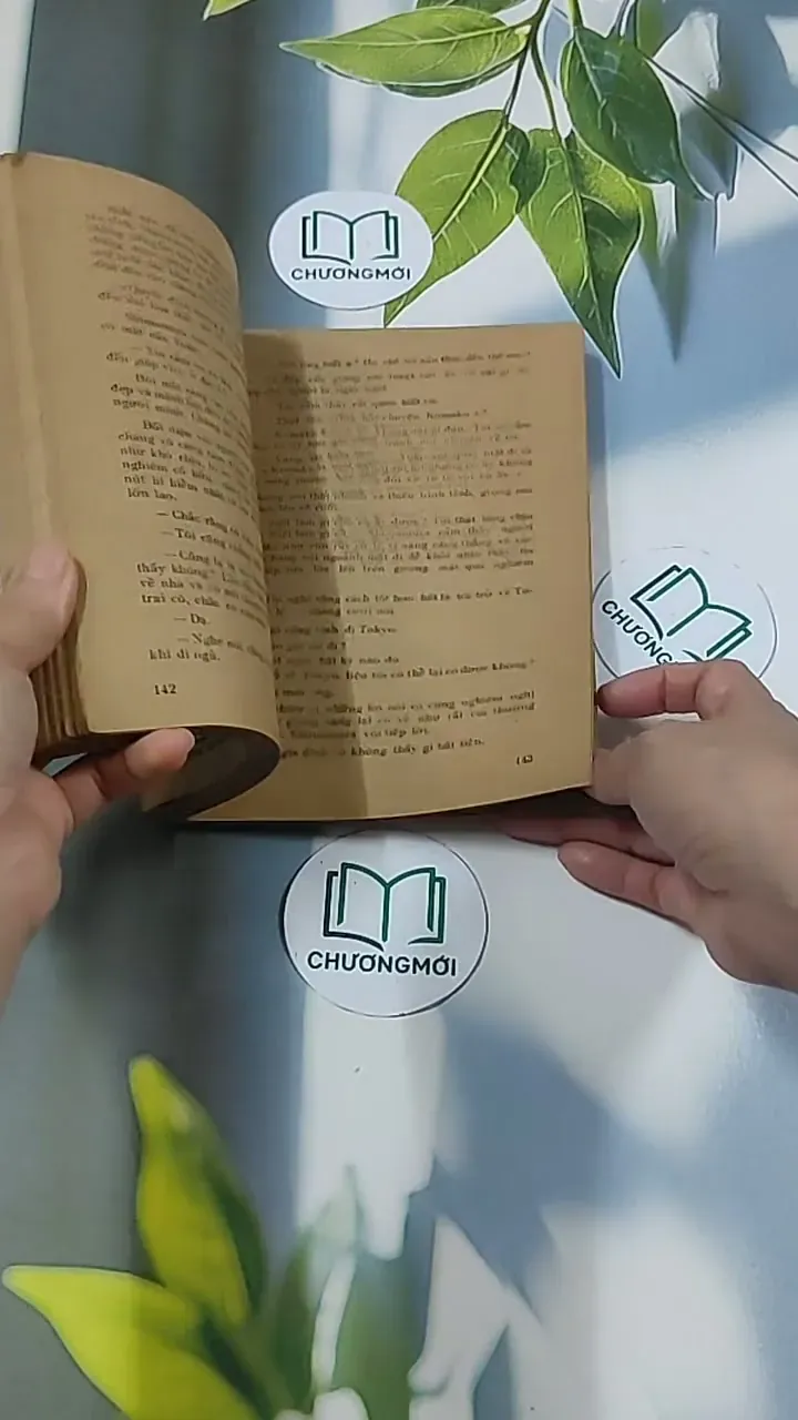 [MIỄN PHÍ BỌC SÁCH] Vùng Băng Tuyết (1988) - Y Kawabata 674973