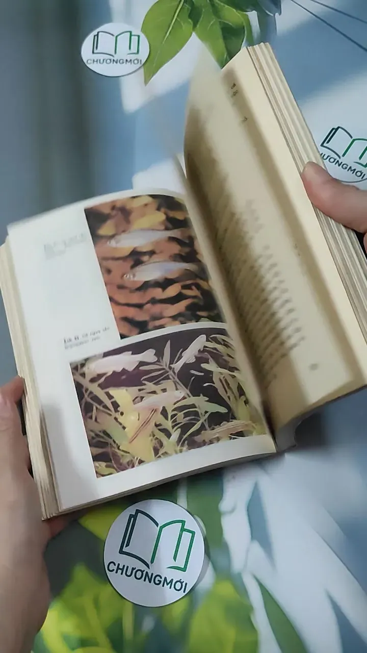 [MIỄN PHÍ BỌC SÁCH] [XƯA] Cá Cảnh (1993) - Võ Văn Chi 780866