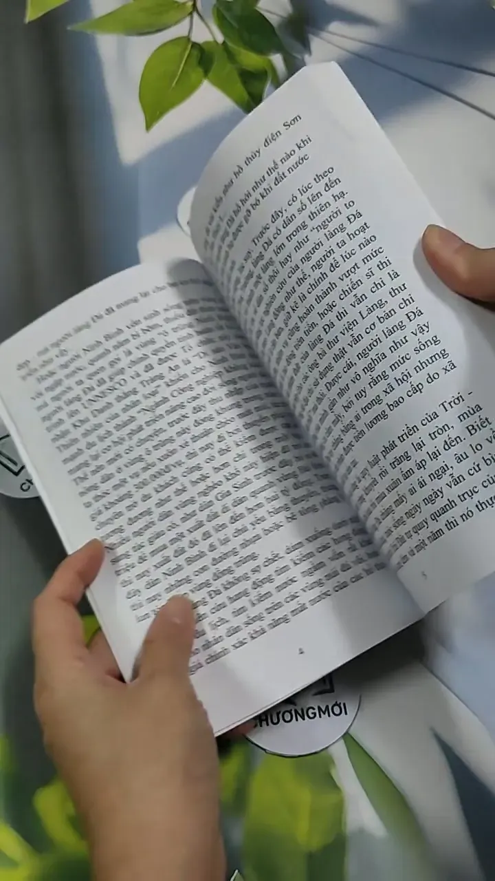 Làng Đá - Tuỳ Bút - Đỗ Tuyết 707320