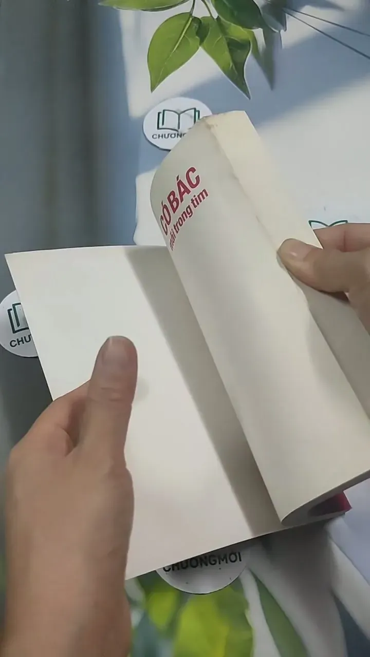 Có Bác Mãi Trong Tim 715608