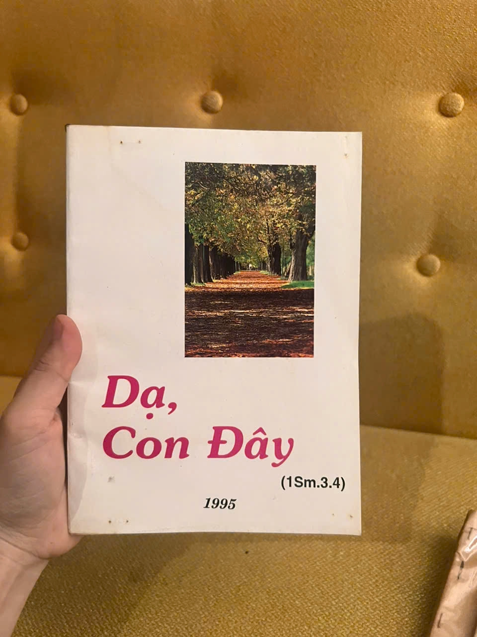 Dạ, con đây by Fr. Joachim Nguyễn Văn Liêm, OP - Sách Book Cover - Ngọc Hiển Books