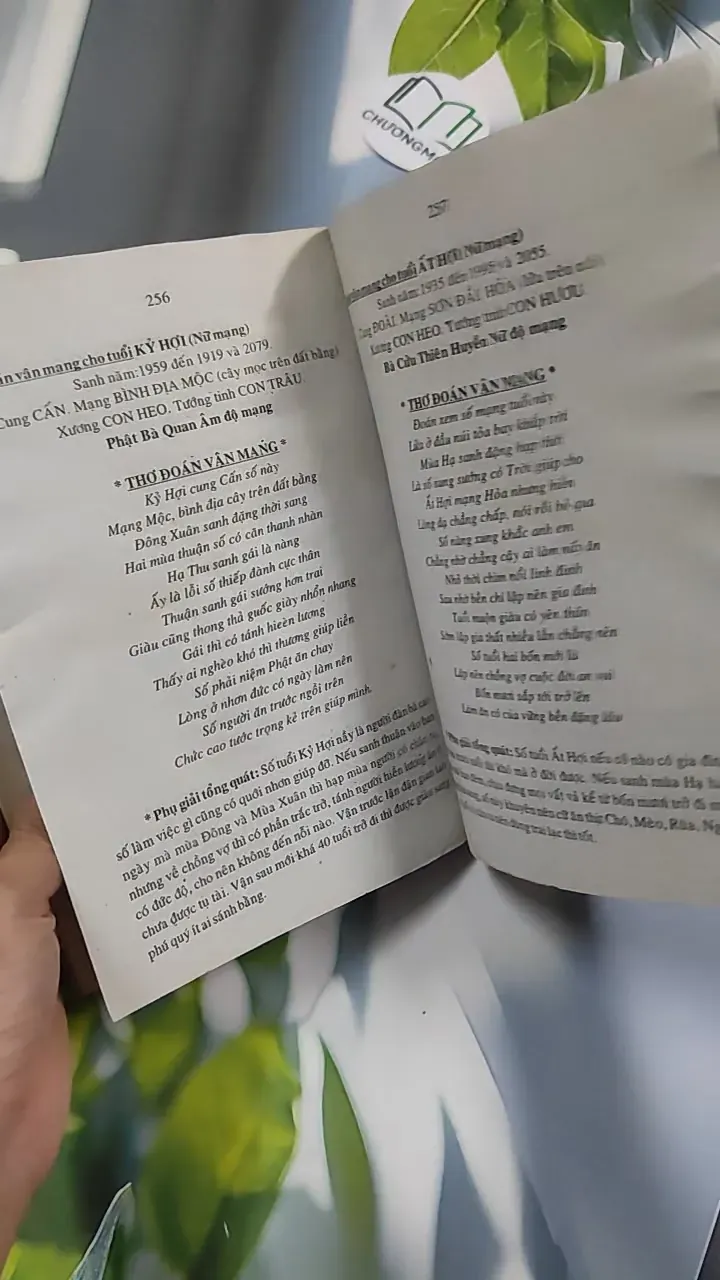 Tử Vi Tướng Pháp 776182