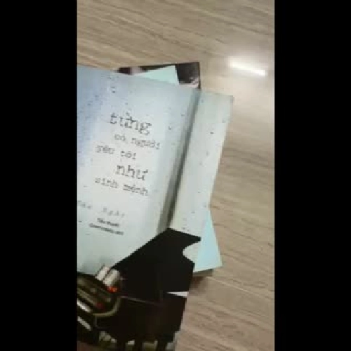 Combo tiểu thuyết từng có người yêu tôi như sinh mệnh+mọi điều ta chưa nói+999 lá thư