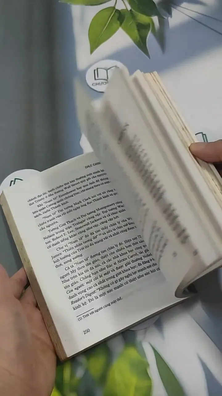 Quẳng Gánh Lo Đi Và Vui Sống 715597