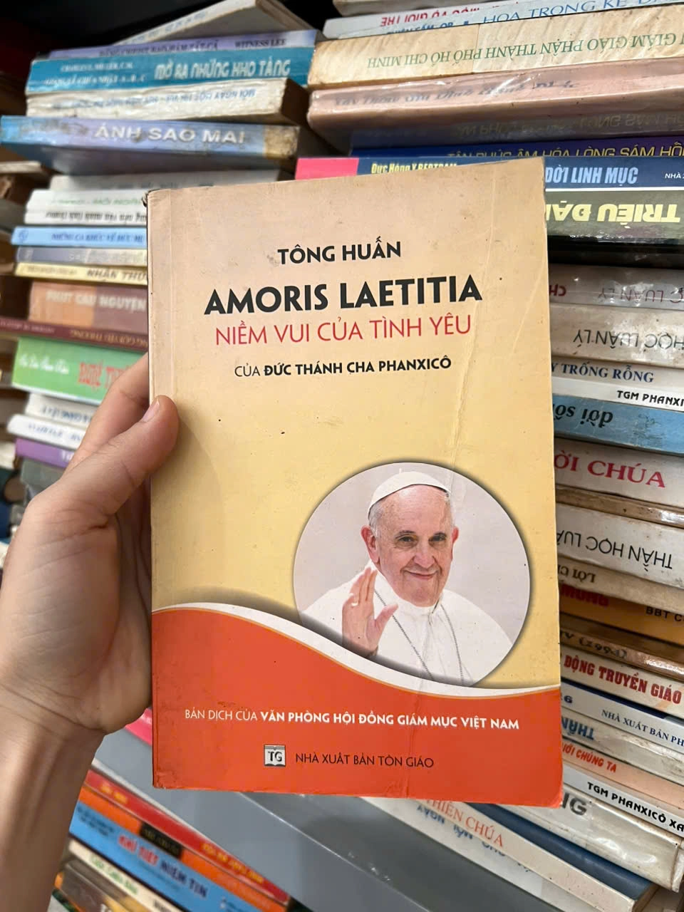 Tông huấn Amoris Laetitia – Niềm vui của Tình yêu + Niềm hoan lạc của tình yêu by  - Sách Book Cover - Ngọc Hiển Books