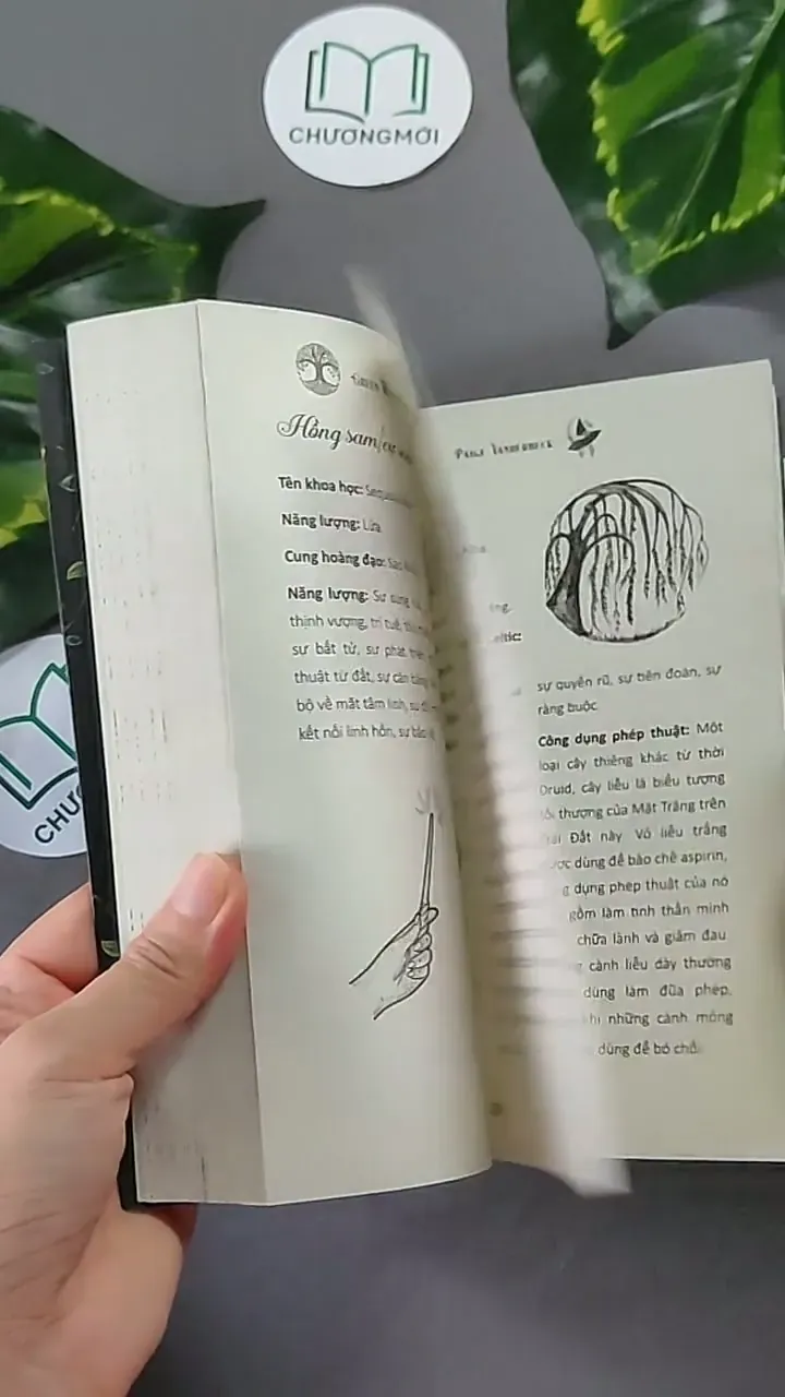[MIỄN PHÍ BỌC SÁCH] Năng Lượng Từ Thảo Mộc - Paige Vanderbeck 604646