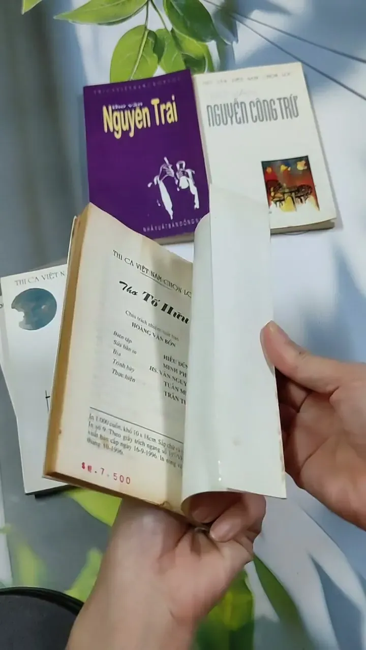 Combo Thơ Văn: Nguyễn Trãi, Nguyễn Công Trứ, Hàn Mạc Tứ, Tố Hữu, Tố Tâm 703128