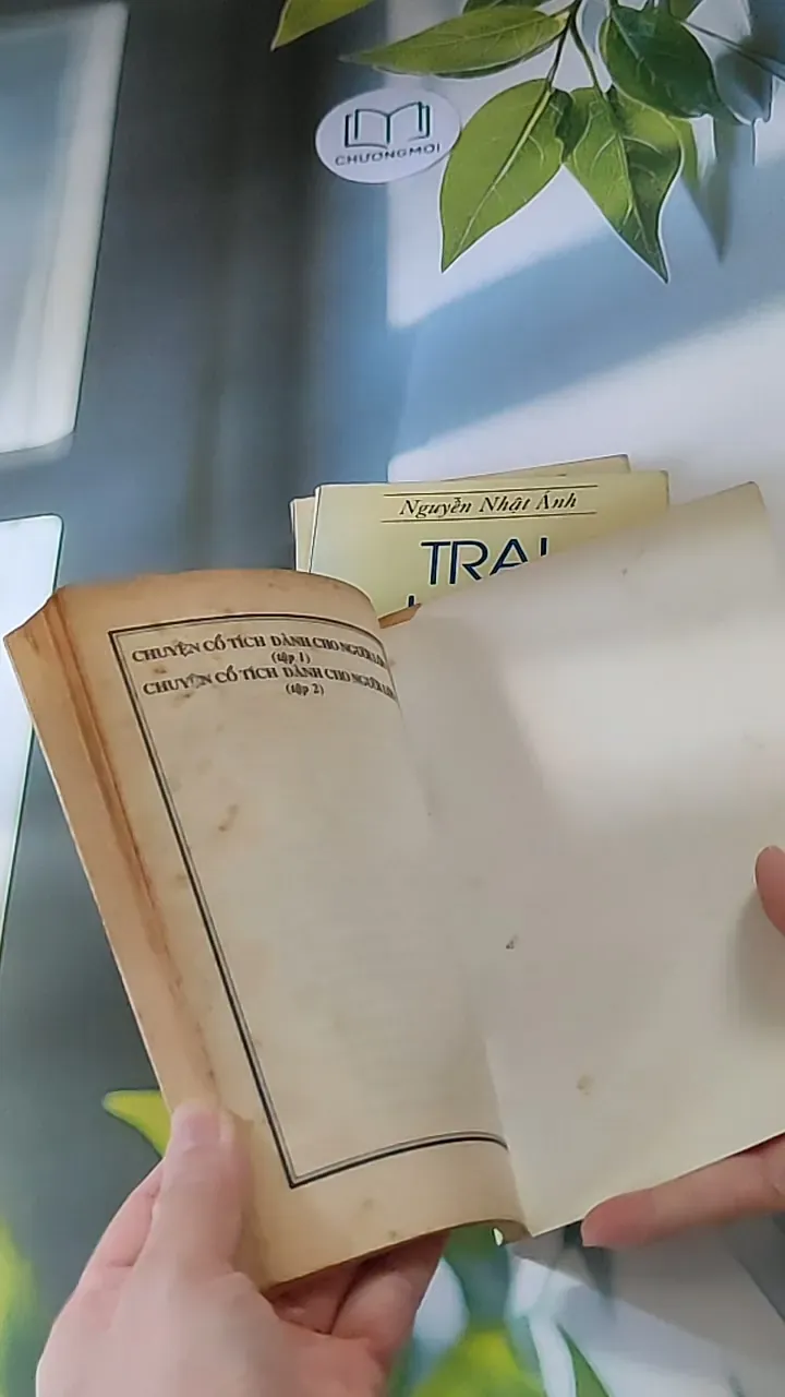 Trọn bộ Trại hoa vàng (4 tập) 607740